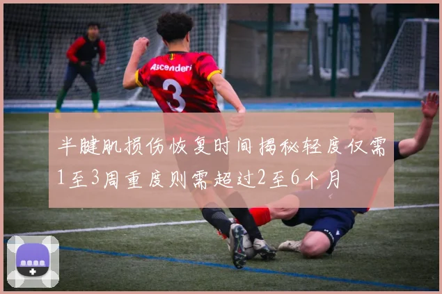 半腱肌损伤恢复时间揭秘轻度仅需1至3周重度则需超过2至6个月
