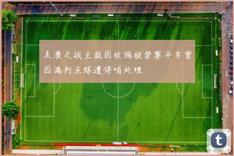 美澳之战主裁因收贿被禁赛半年曾因漏判点球遭停哨处理