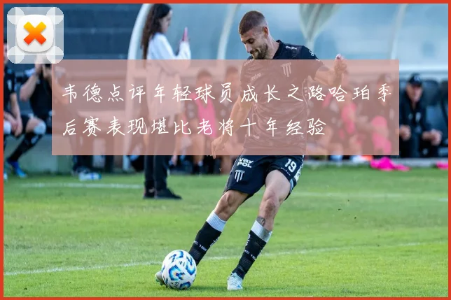 韦德点评年轻球员成长之路哈珀季后赛表现堪比老将十年经验