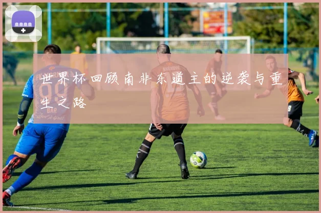 世界杯回顾南非东道主的逆袭与重生之路