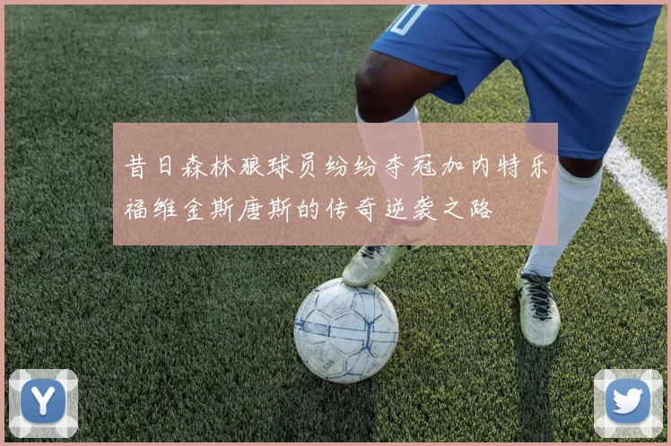 昔日森林狼球员纷纷夺冠加内特乐福维金斯唐斯的传奇逆袭之路